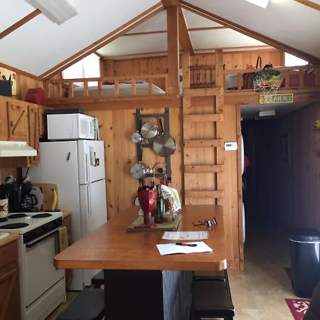 Cozy Cabin On The Bayou Maurepas Extérieur photo