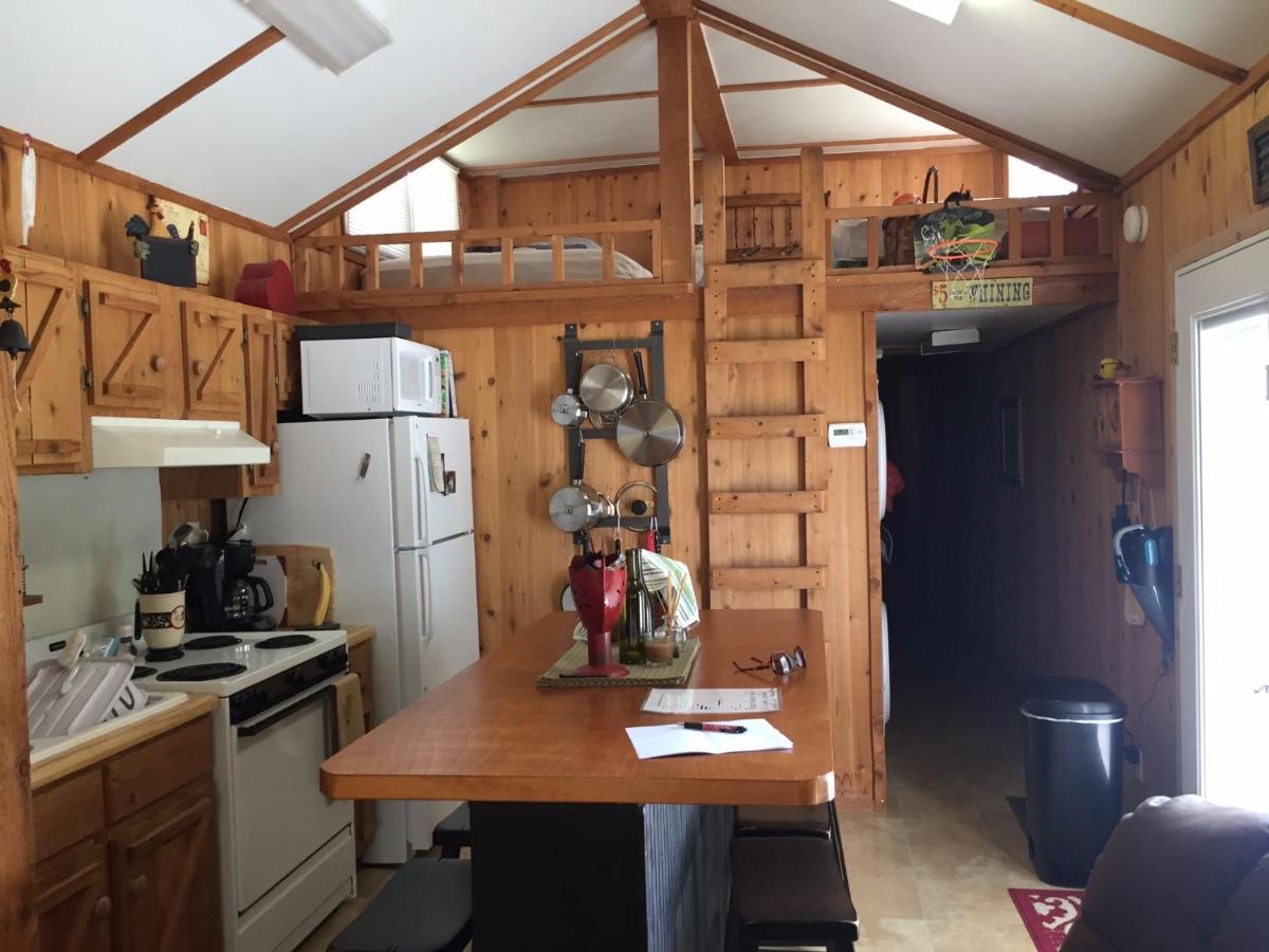 Cozy Cabin On The Bayou Maurepas Extérieur photo